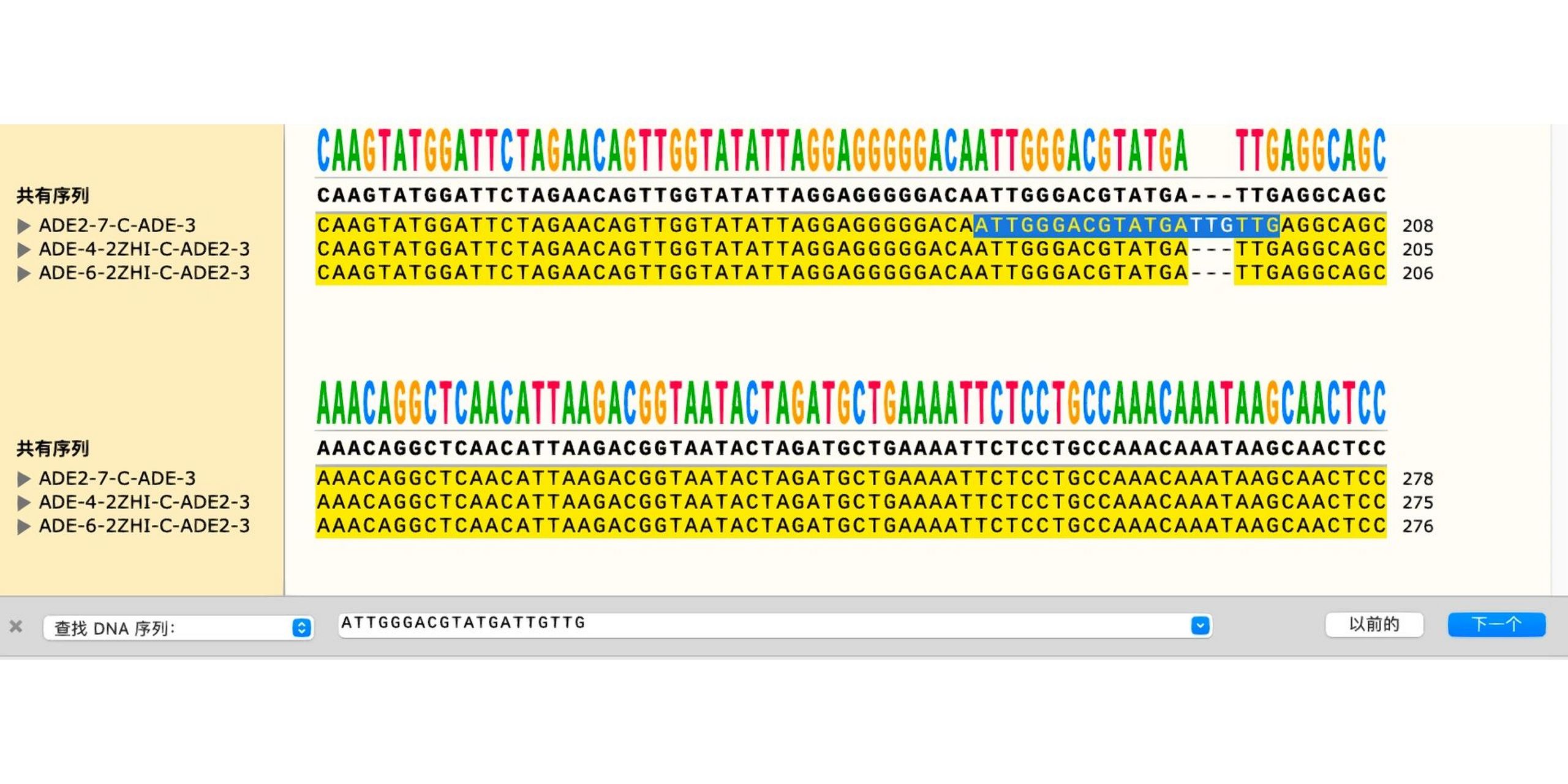 分享简单序列比对方法 表型也要看,序列也要测 (不敢发朋友圈了,档热