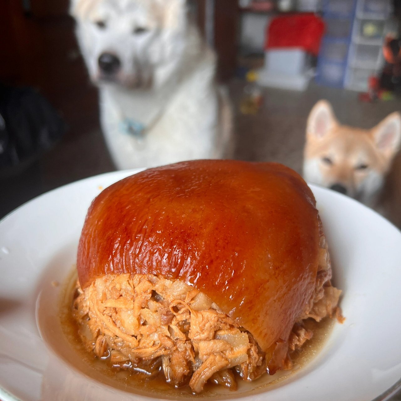 青田跑蹄 🇨🇳