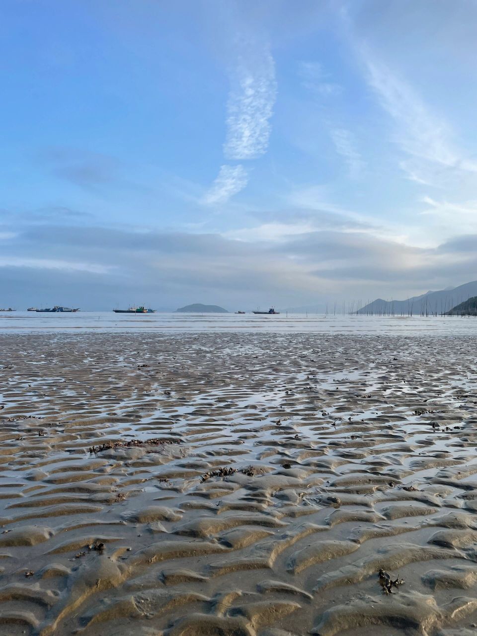 霞浦小皓滩涂,赶海好去处 9990霞浦小皓滩涂是一个绝佳的赶海胜地