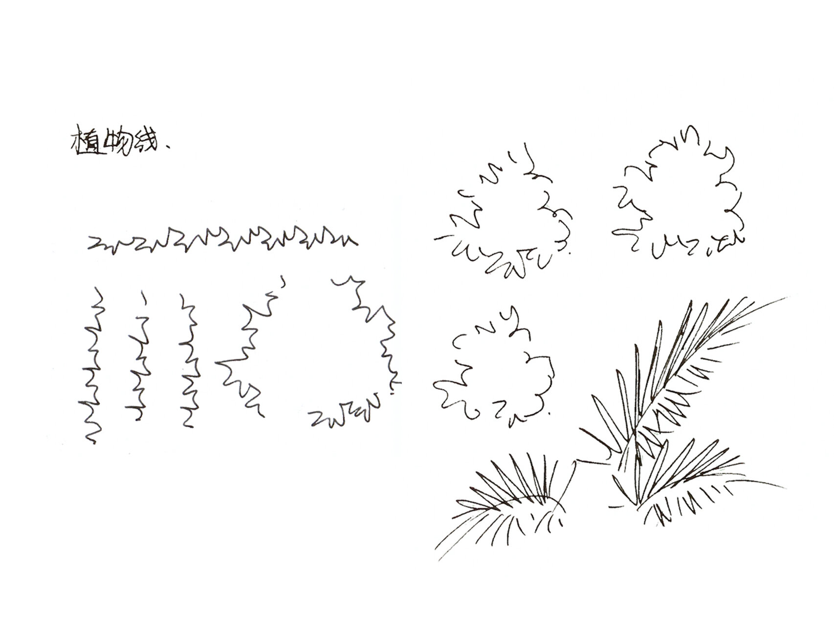 简单易学的手绘室内盆栽