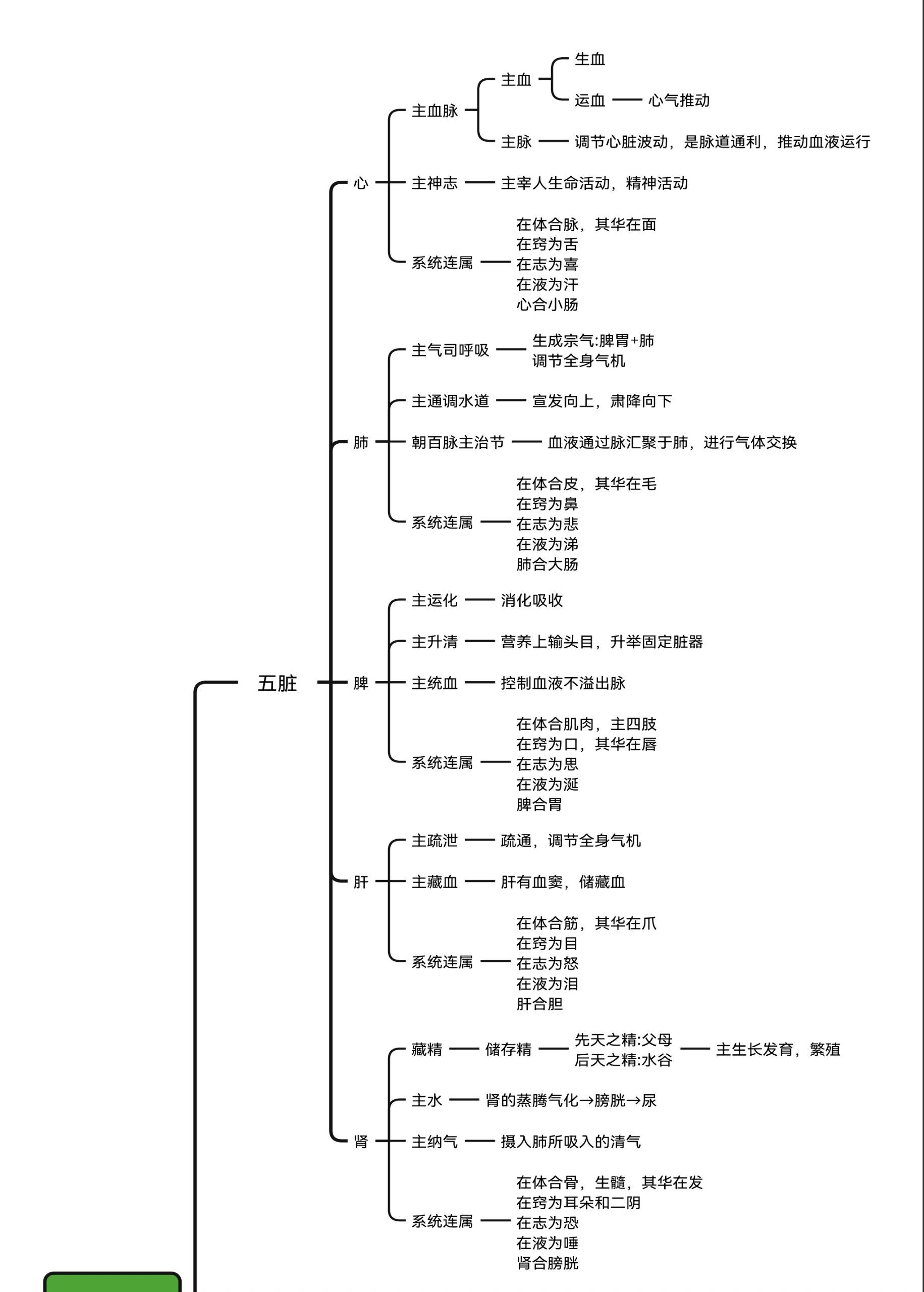 中医学思维导图