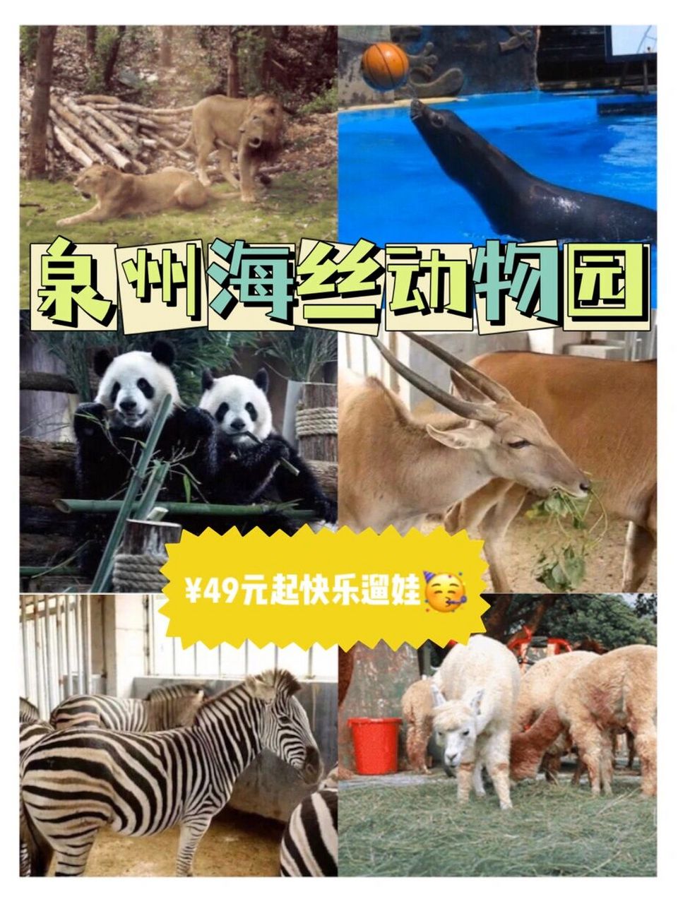 9049起国庆去泉州海丝动物园快乐遛娃吧 马上就是国庆假期啦96