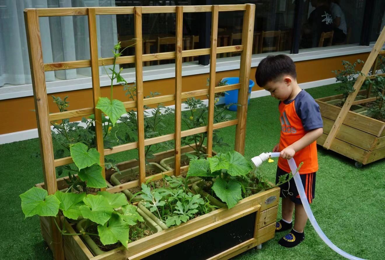 幼儿园空中花园系列 空中花园 户外生态小屋的屋顶是绿色耐力板,在