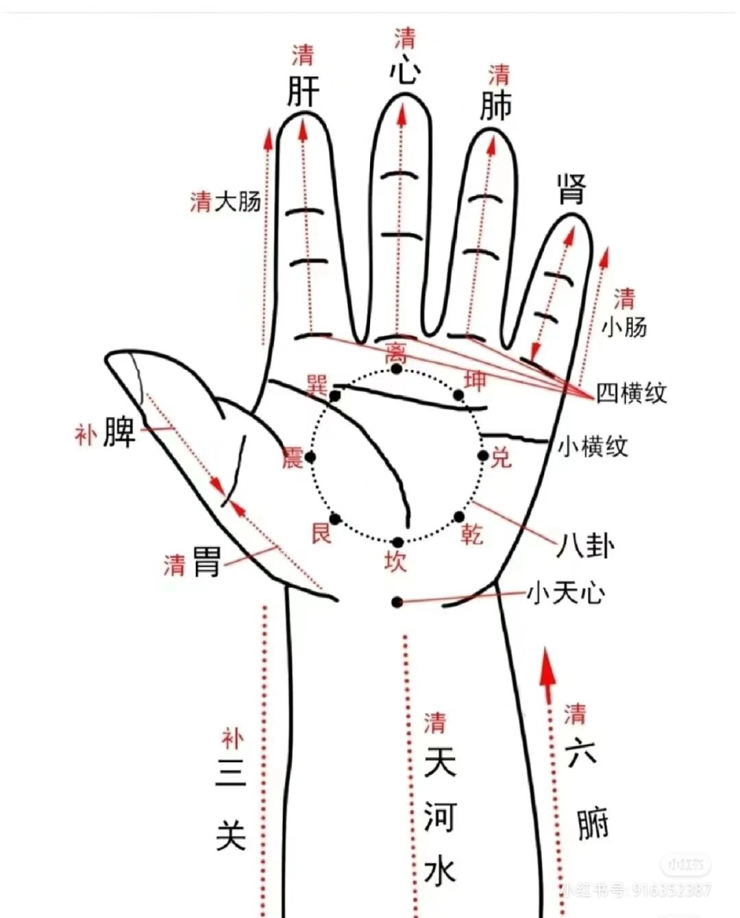 小儿推拿手部穴位分享 小儿推拿疗法是以中医理论为指导