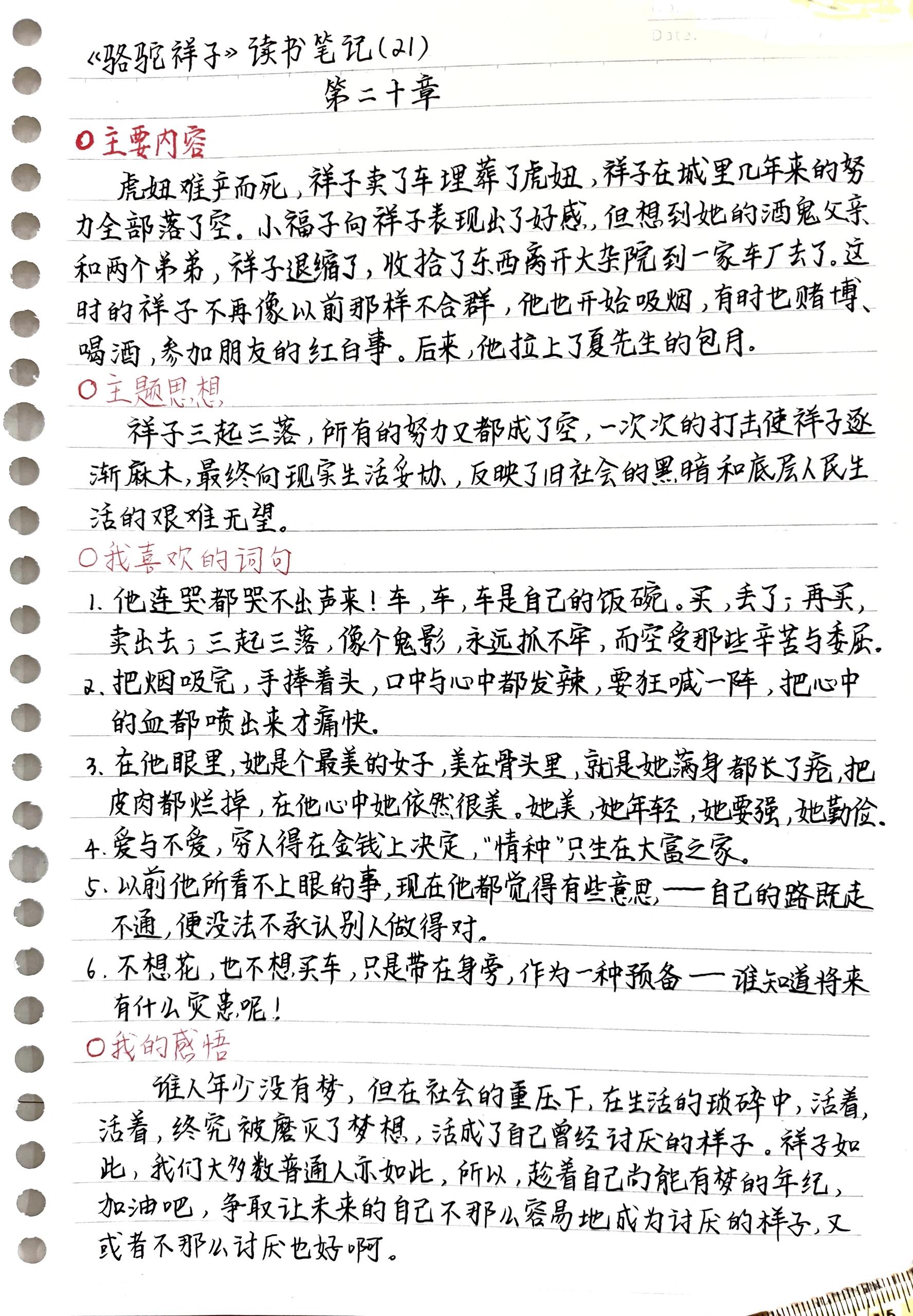 骆驼祥子的文章主旨图片