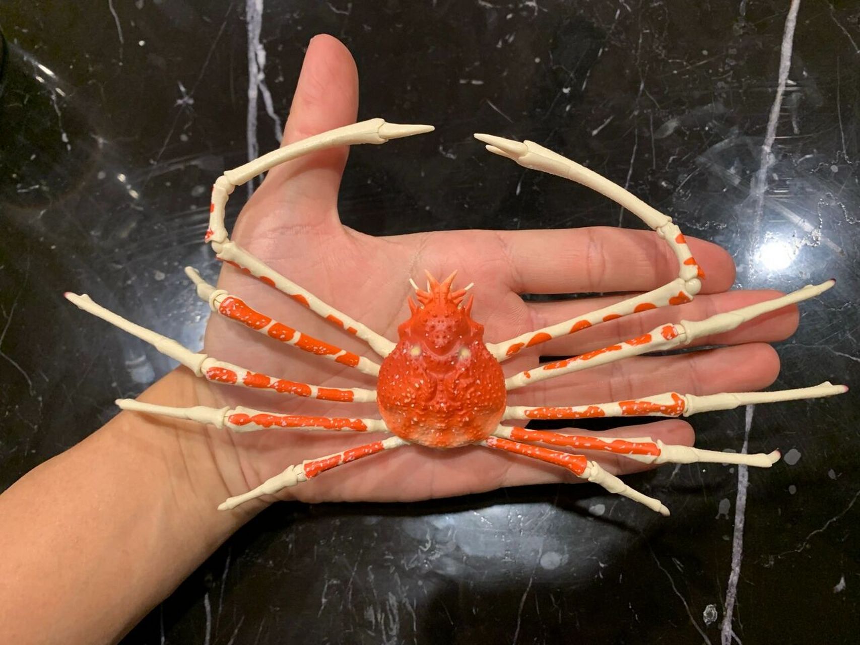 日本蜘蛛蟹和帝王蟹图片