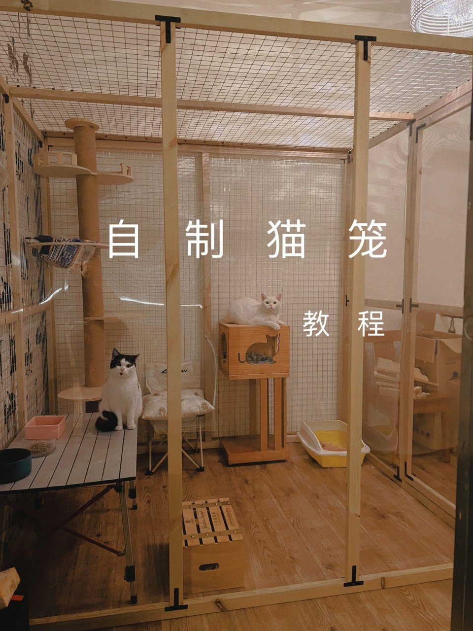 自制猫笼教程 一,【总设计】猫笼图纸.测量放猫笼长宽高.