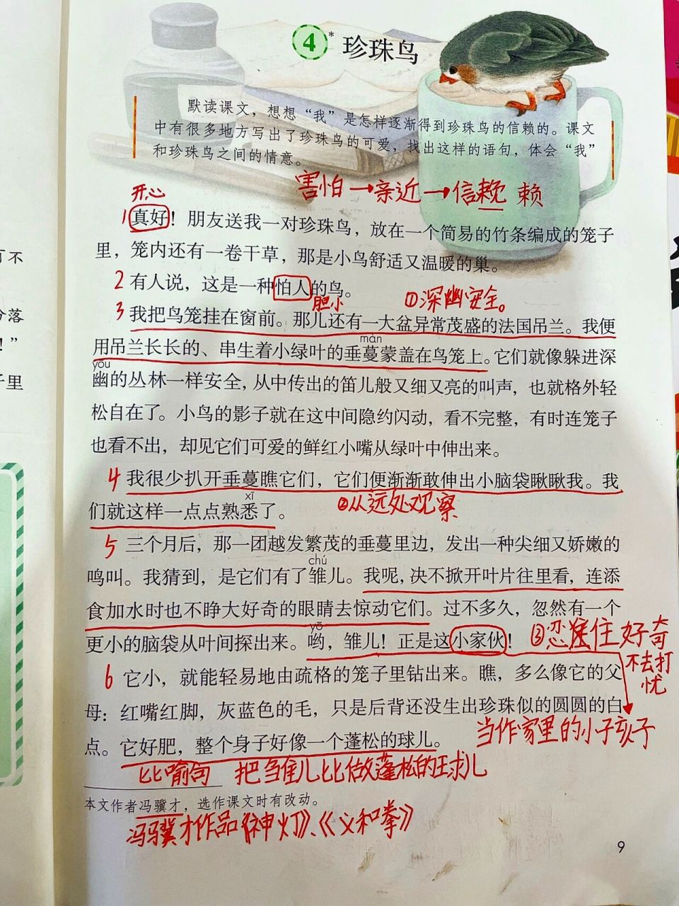 五上语文笔记《珍珠鸟》 第四课《珍珠鸟》学生课堂笔记分享