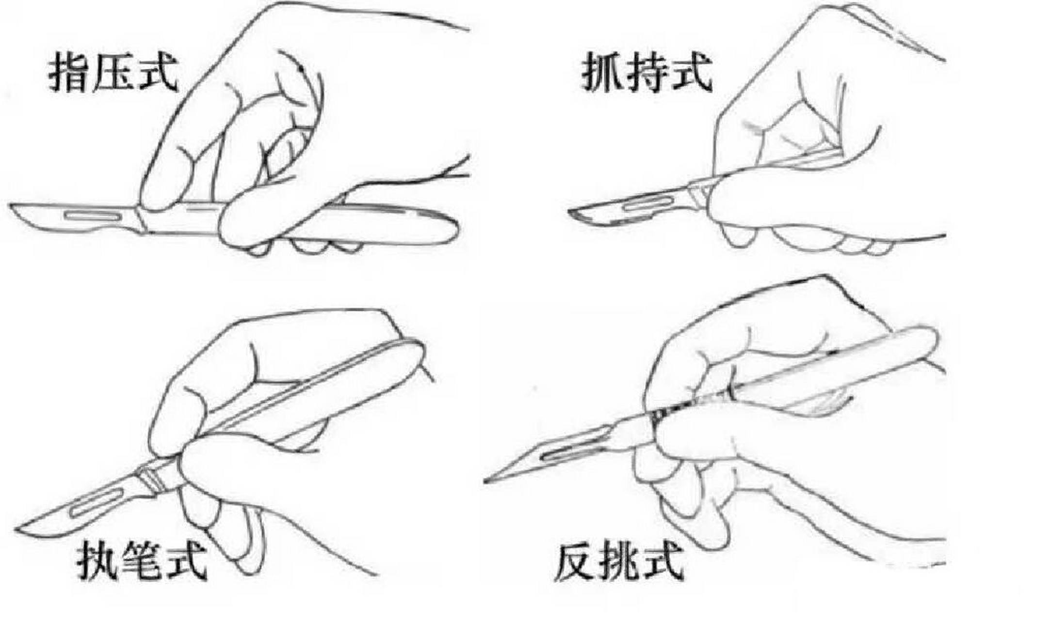 手术刀的握持方法一共分为四种: 第一种是:持弓法 是最常用的一种持