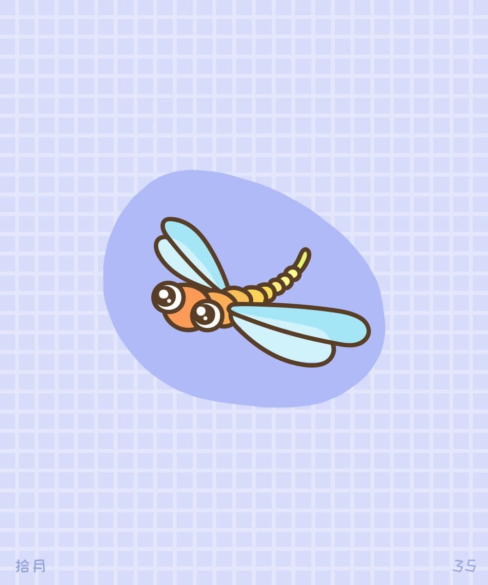 简笔画教程·动物系列·蜻蜓