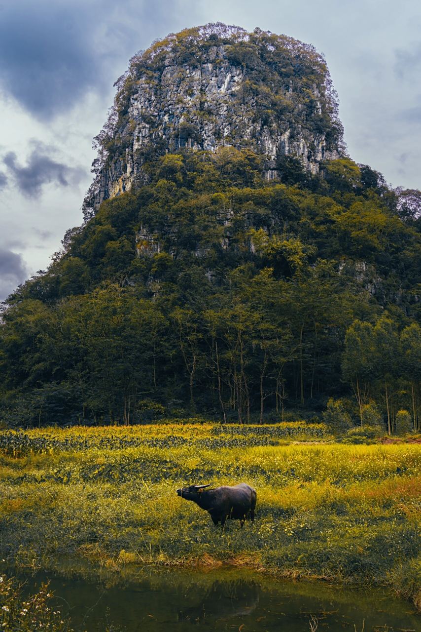 广西来宾市忻城县思练镇 第一次来广西,这边的山好有特点 还有来到