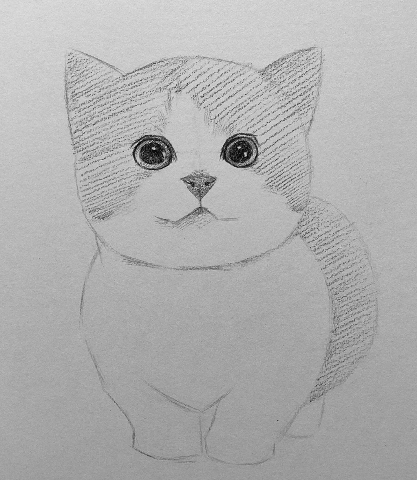 素描静物|可爱的猫咪93