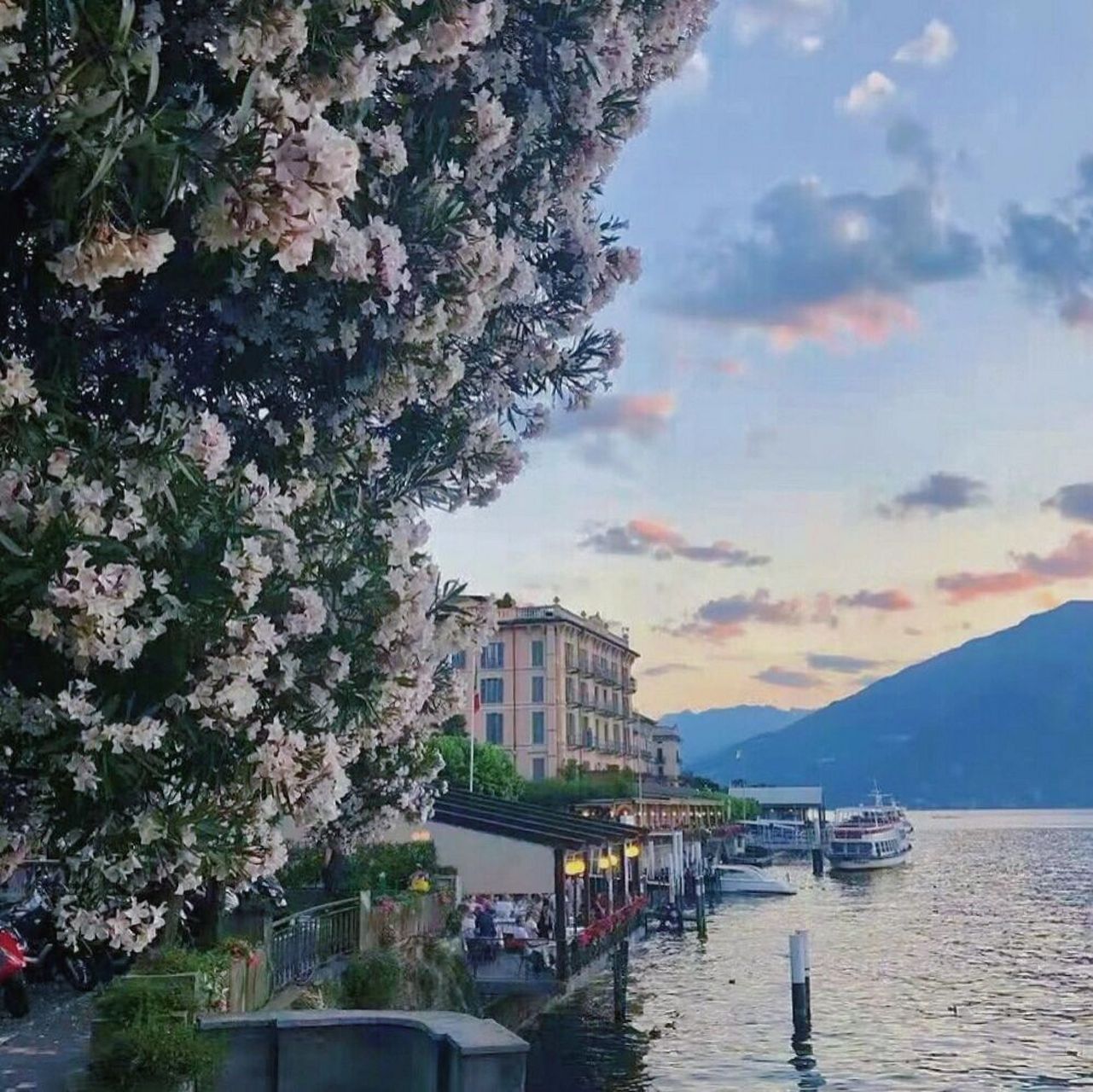 绝美大自然/ins风高级感/背景图分享 我看见野花压满枝头沿途生长