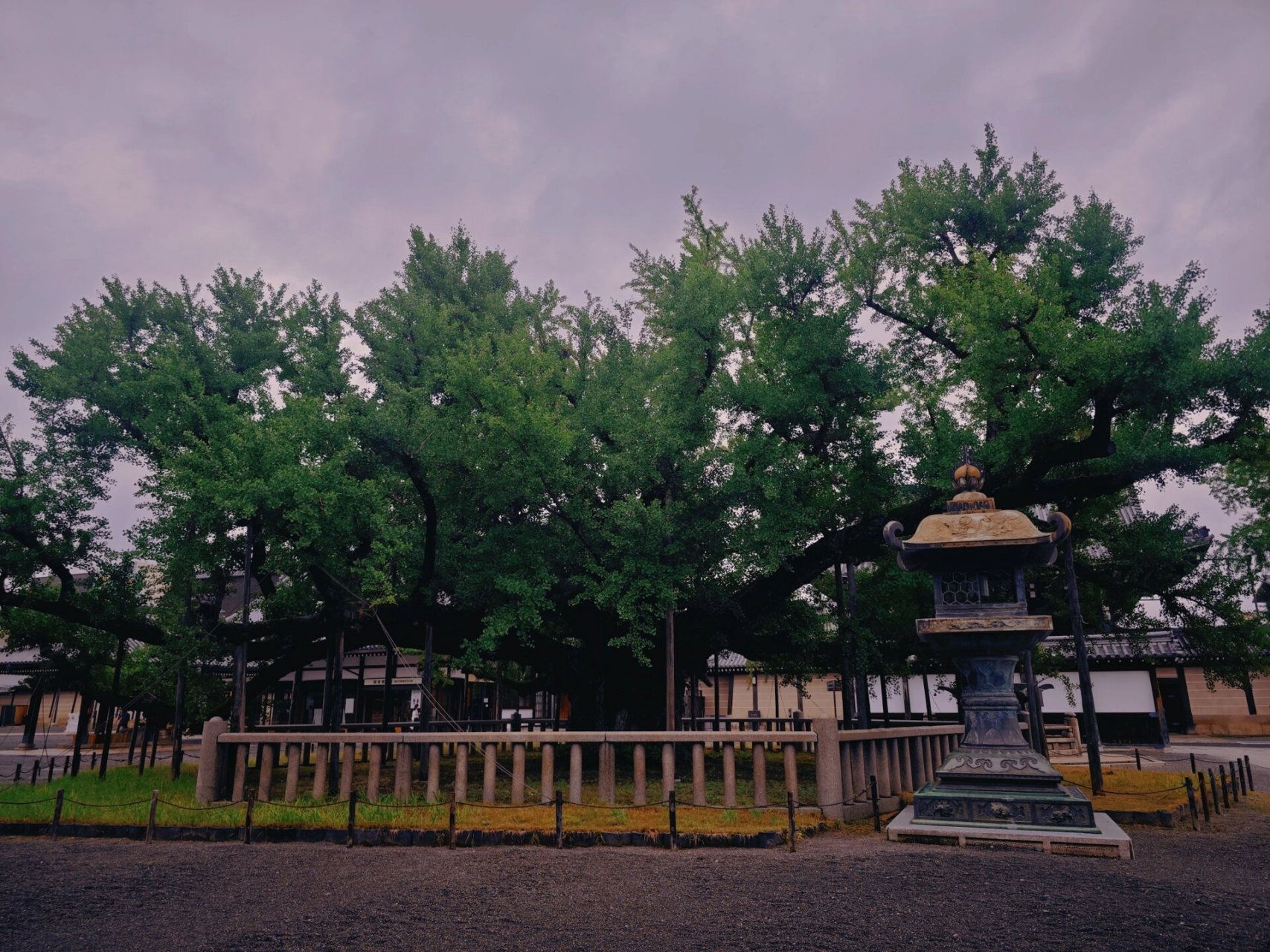京都西本愿寺图片