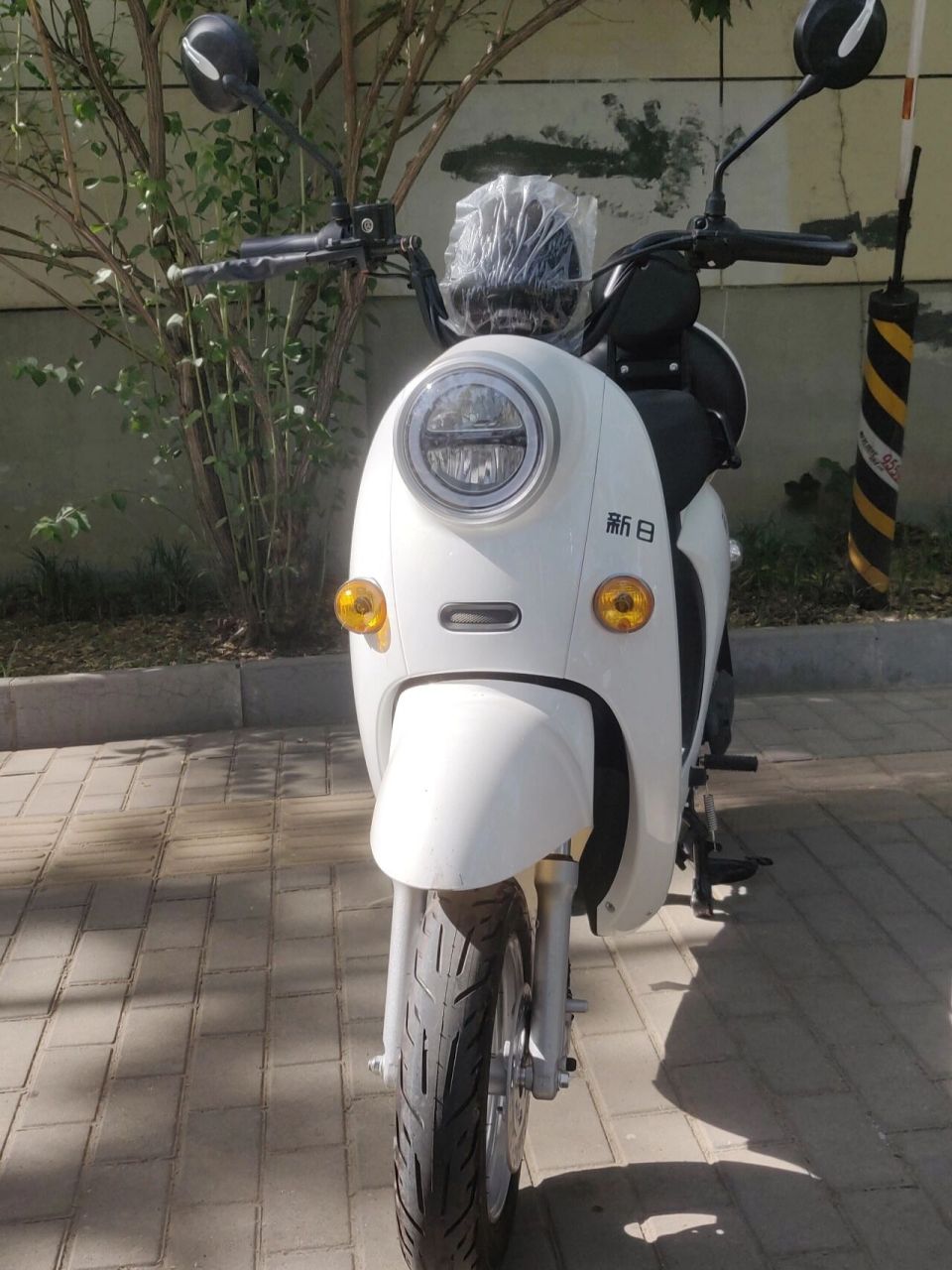 入手一台电动车,用着还不错 车型  新日小丽诺, 售价  3000以下(2999)