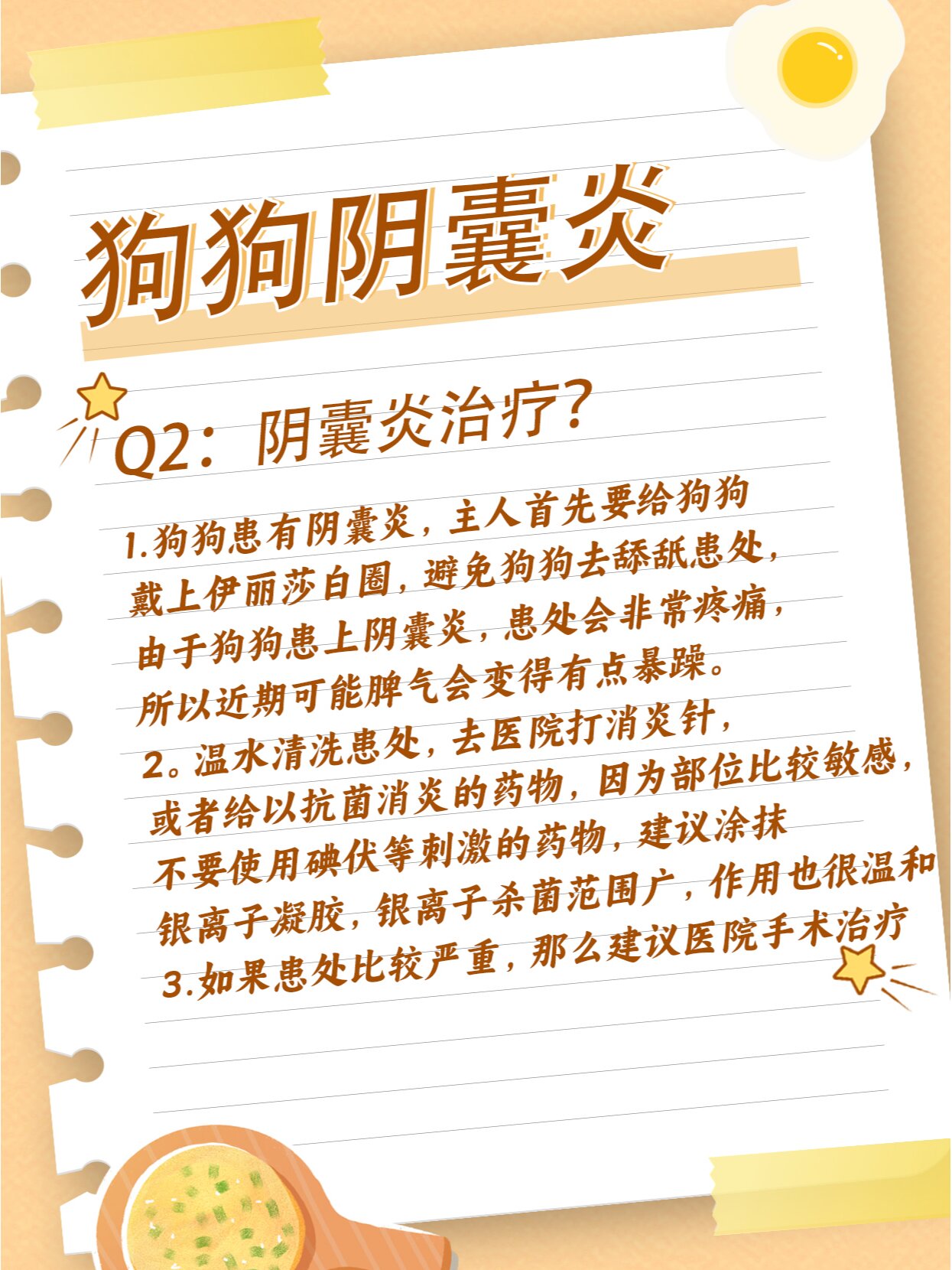 狗狗蛋蛋红肿?流脓?快来看这篇了!