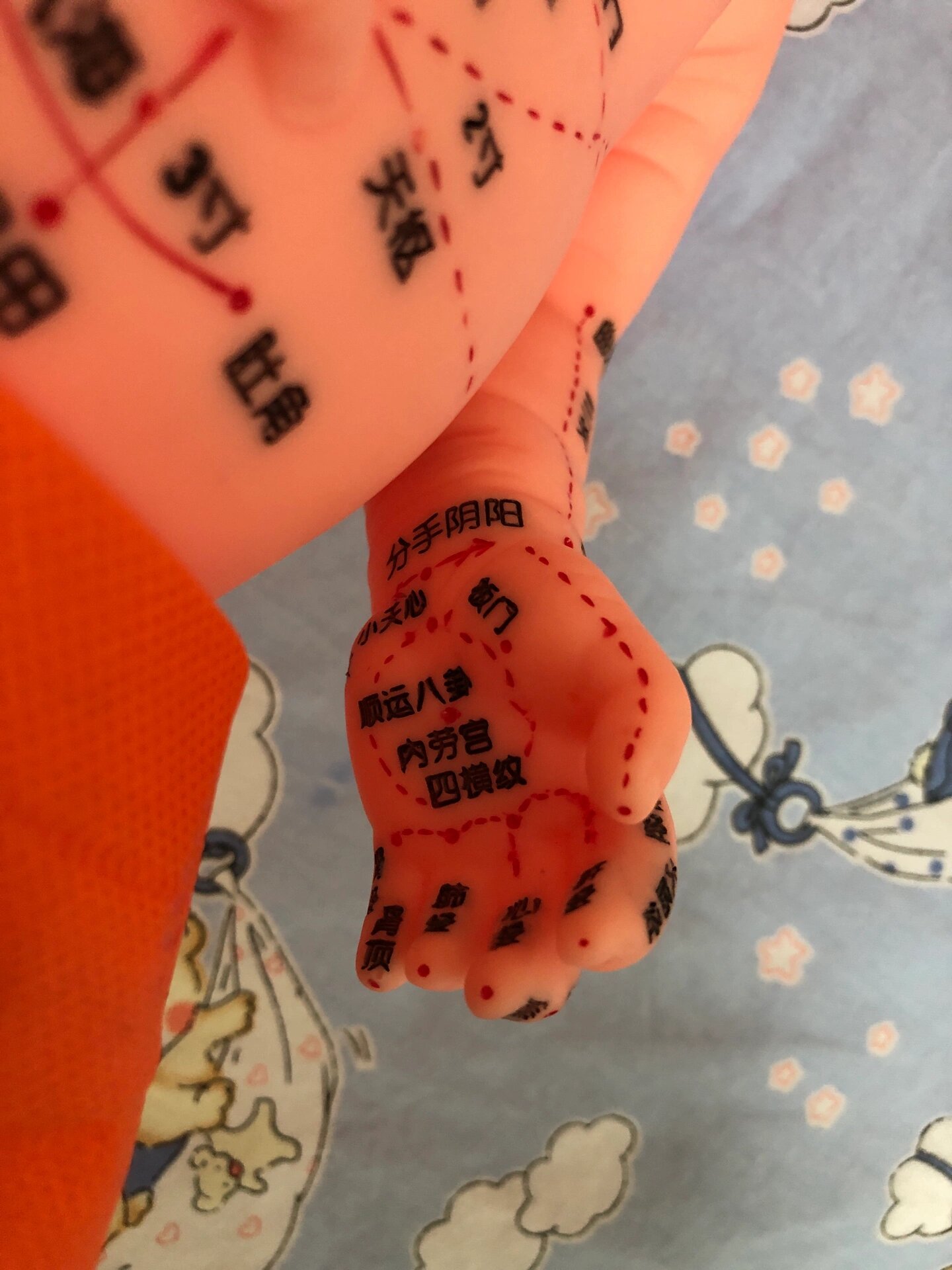 婴幼儿感冒咳嗽穴位贴敷位置图  今天带弟弟做儿保,看到这个模型穴位