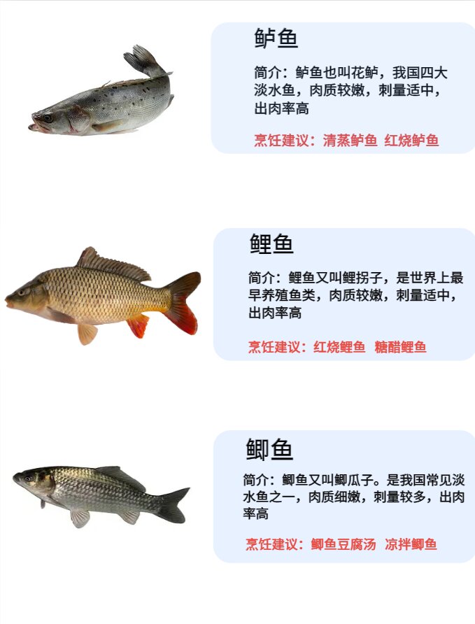 常见淡水鱼种类的区别和特点!鱼类说明书