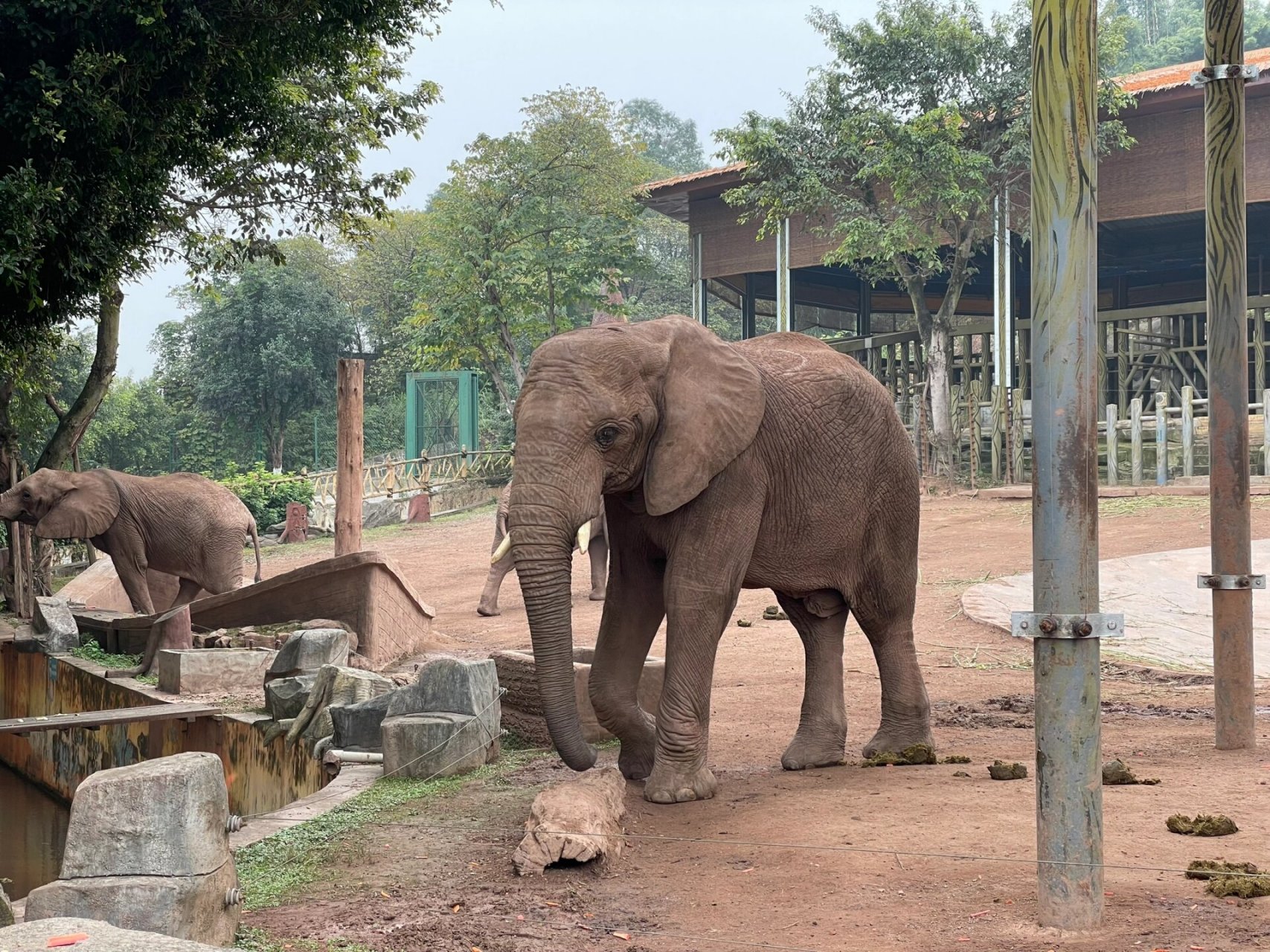 重庆周边游之—永川野生动物园 地址:重庆永川区乐和乐都主题乐园