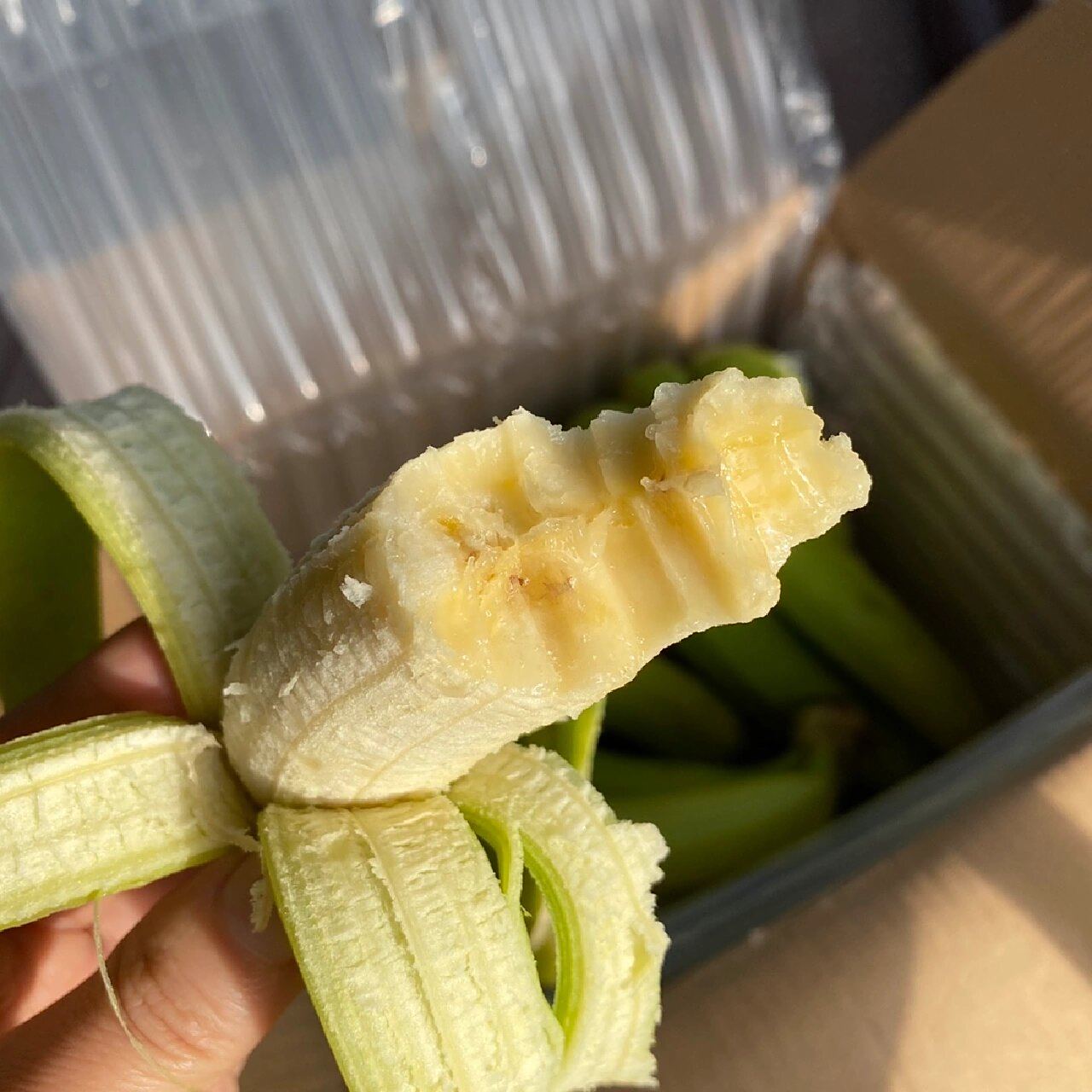 绿皮香蕉 | 能看也能吃的绿色香蕉94 94 你吃过绿皮香蕉吗?