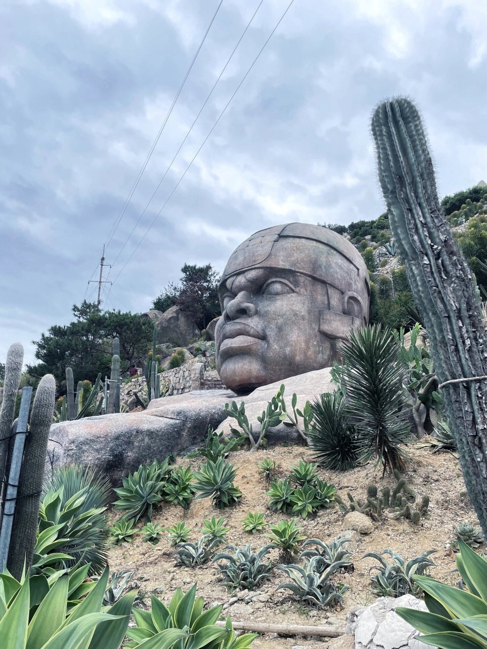 福建石岩植物园门票图片