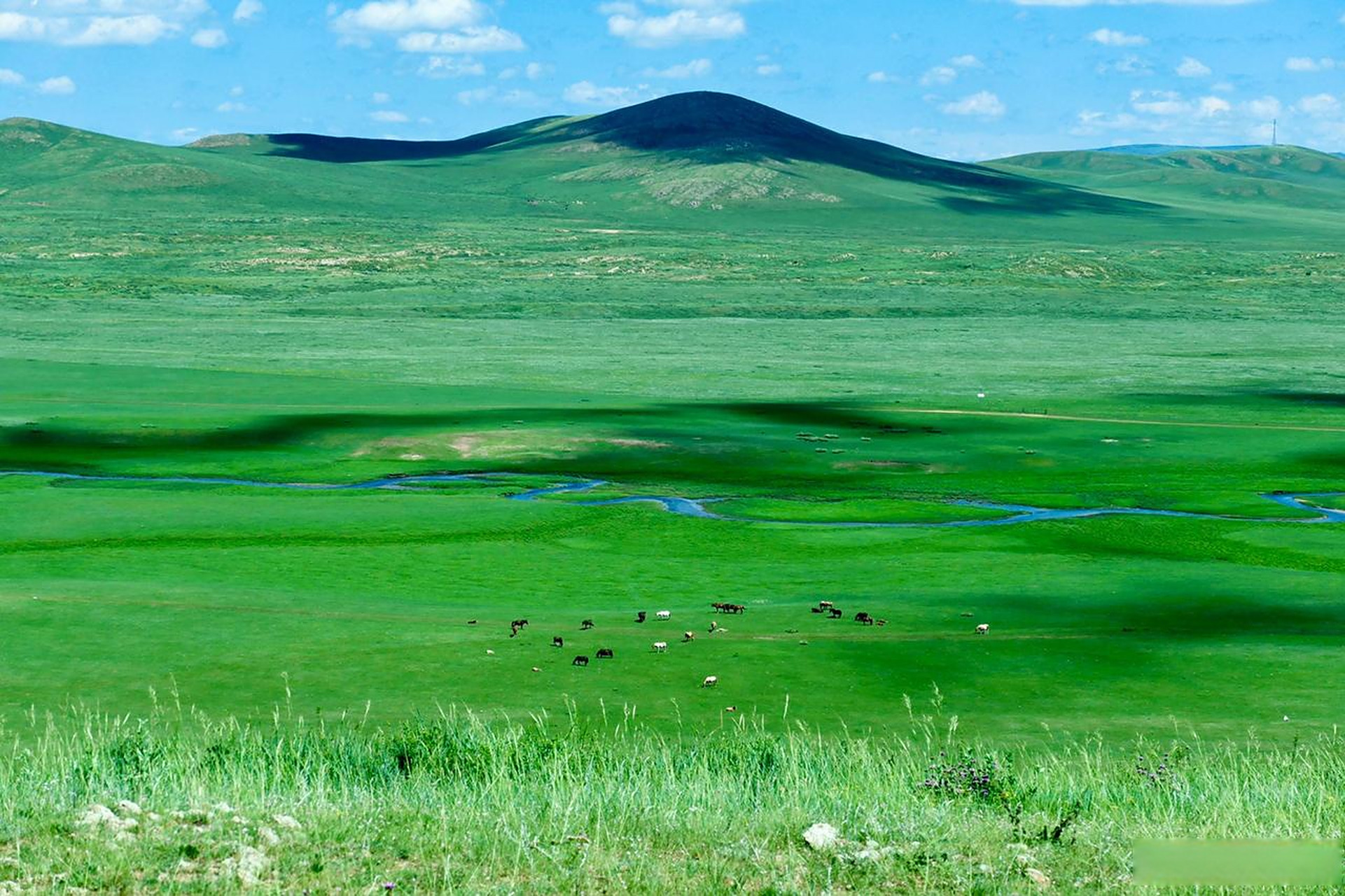 去大草原撒个野内蒙锡林浩特,最美嘎查环线,在西乌珠穆沁旗浩勒图高勒