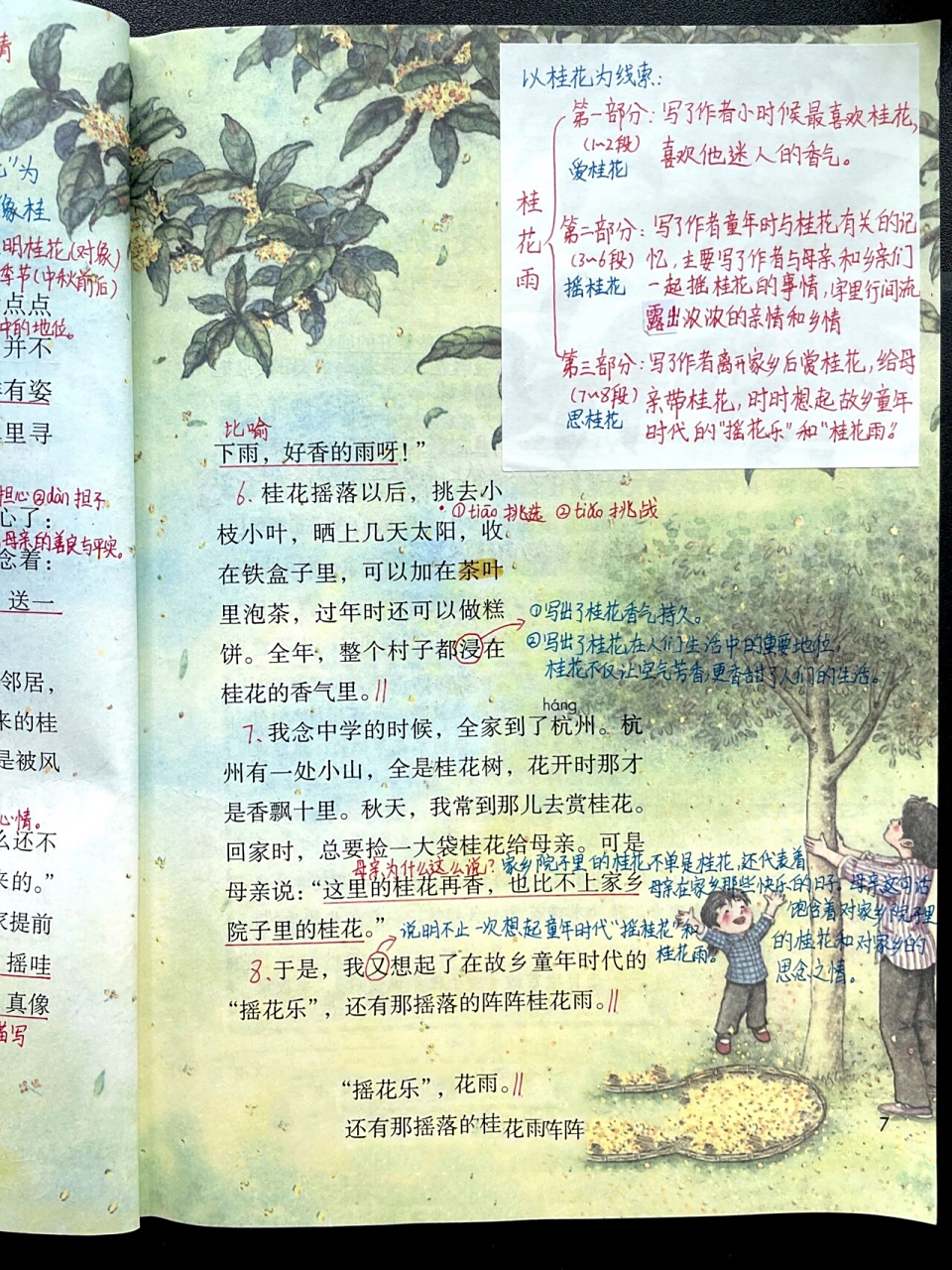五上|五年级上册课文3《桂花雨》课文笔记