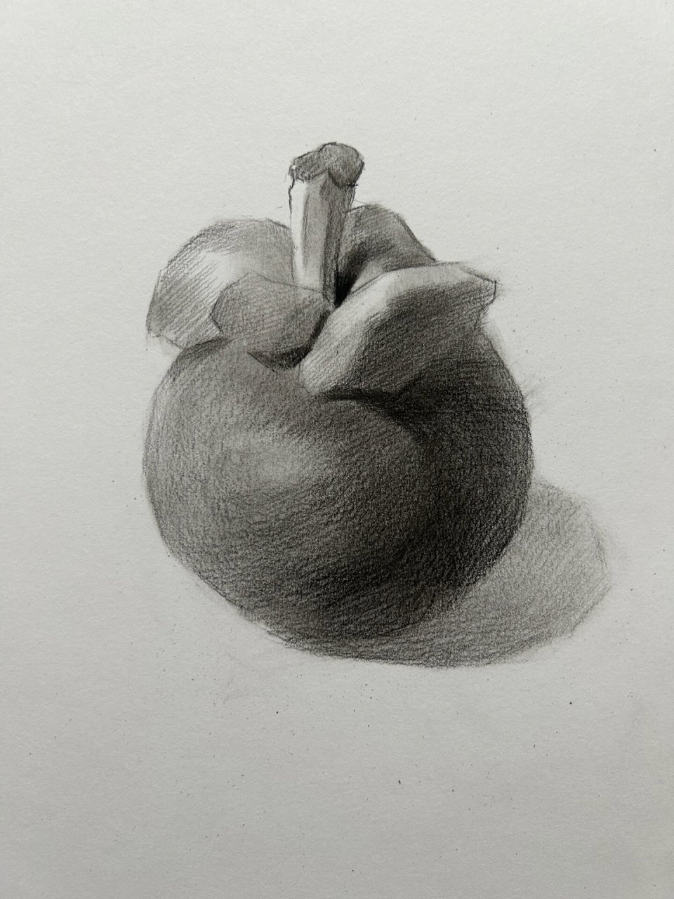 素描基础静物 山竹 图文步骤 素描单体静物,苹果画吐了就换个物体练习
