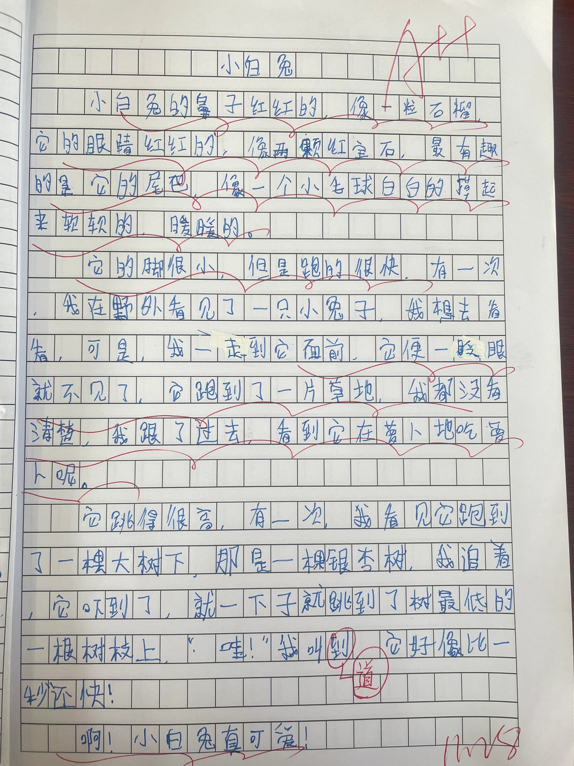 三上78第五单元观察小练笔(动物)