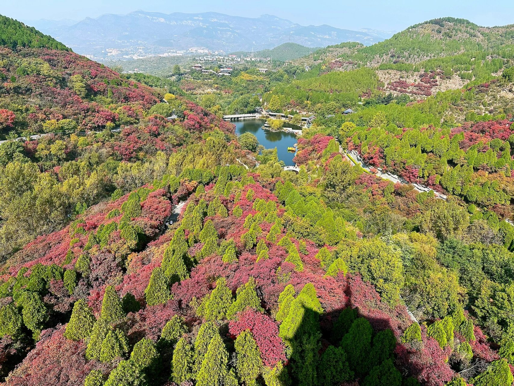 济南红叶谷 红叶谷是济南南边的一个小众景点,不过10月底树叶都红的