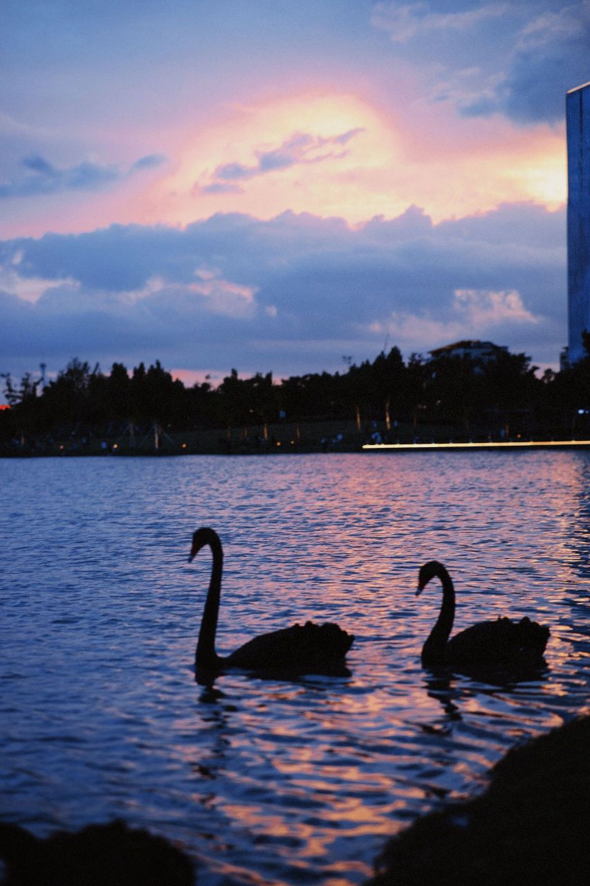 嘉兴最美公园之一秀湖公园 秀洲区人民的晨练,纳凉,运动,美景最佳公园