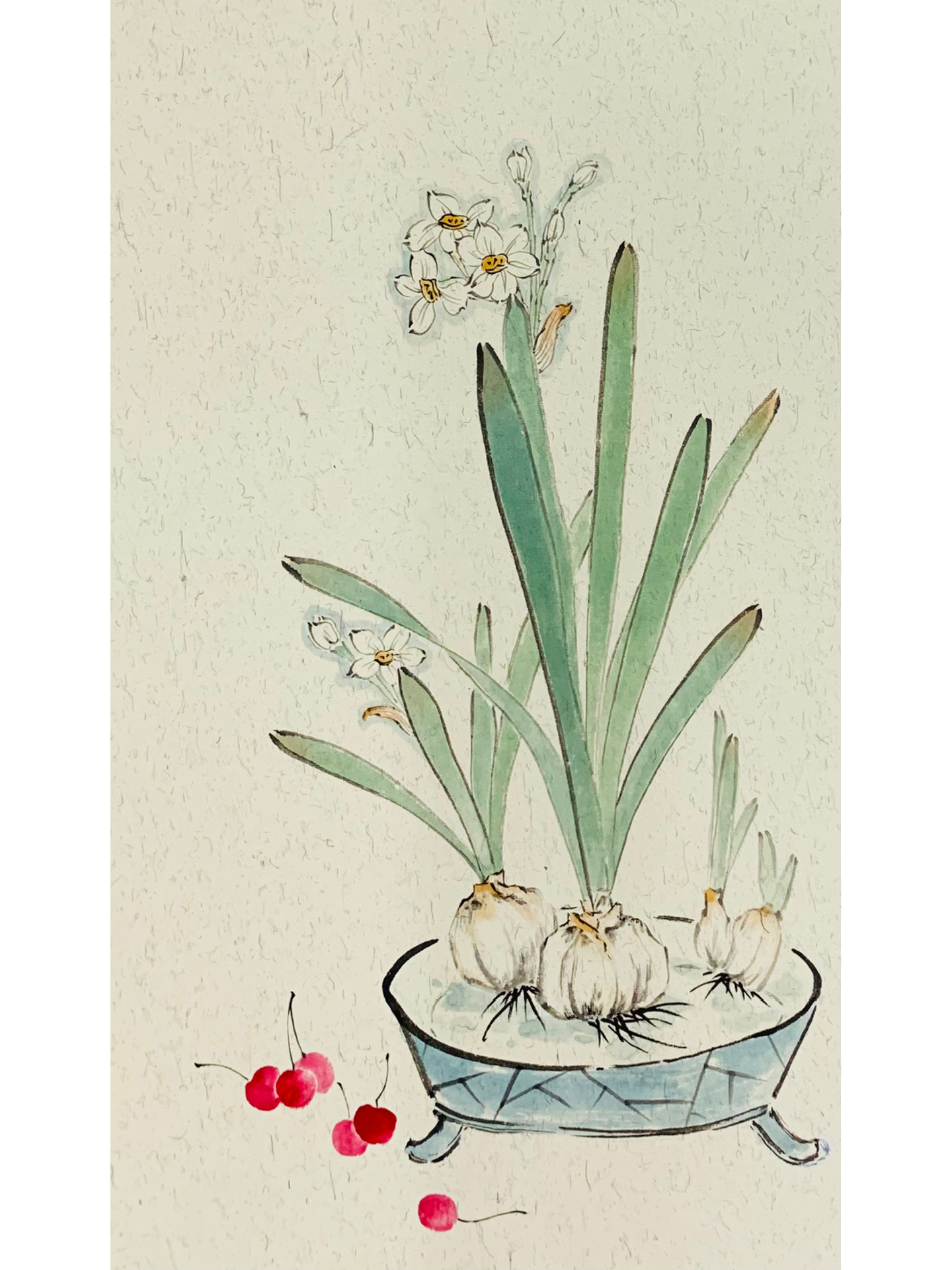 国画水仙花教学绘画方法步骤图