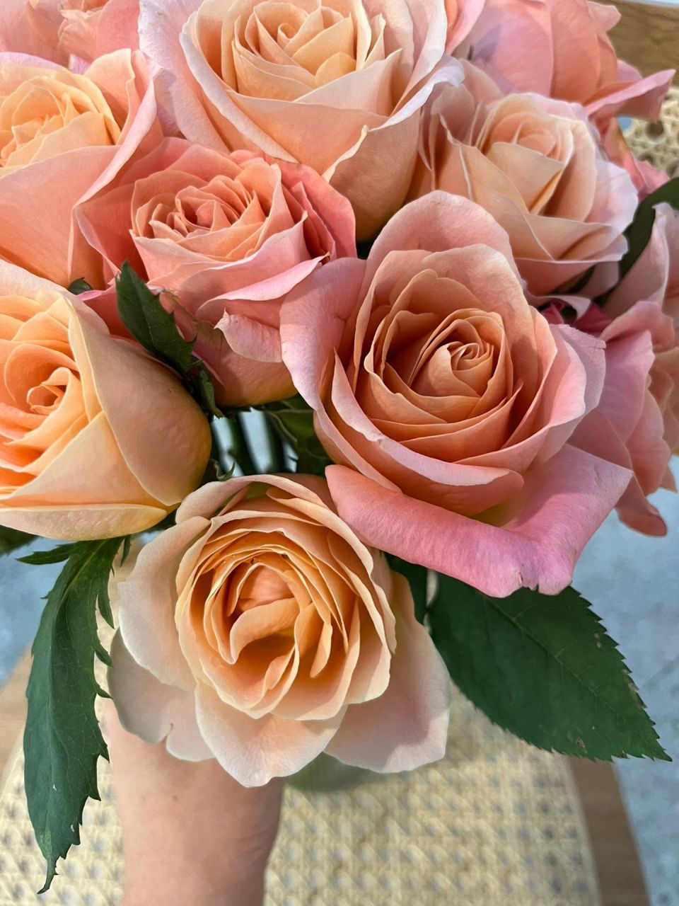 朱小姐玫瑰～温柔且坚定 94特点:朱朱小姐是一种自带香味的玫瑰