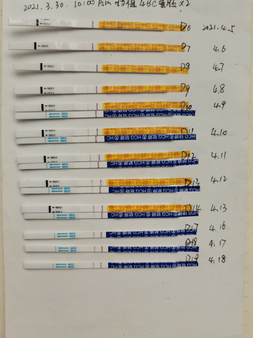 【试管】移植4bc囊胚一次成功 试管的成功率真的很高,我的小姐妹还有