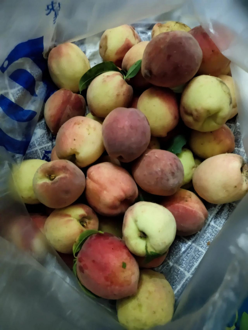 晚上回家小区超市门口有人卖桃子,这是自家种的,一袋10元.