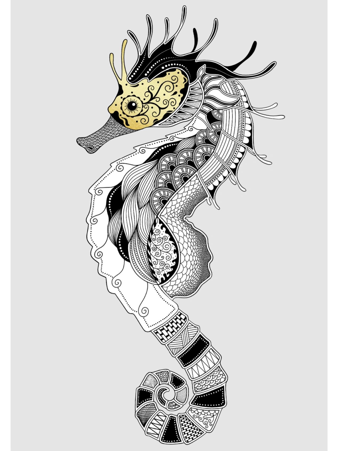 黑白装饰画--海马(内附步骤图)  在罗马和希腊,海马是海神波塞冬和