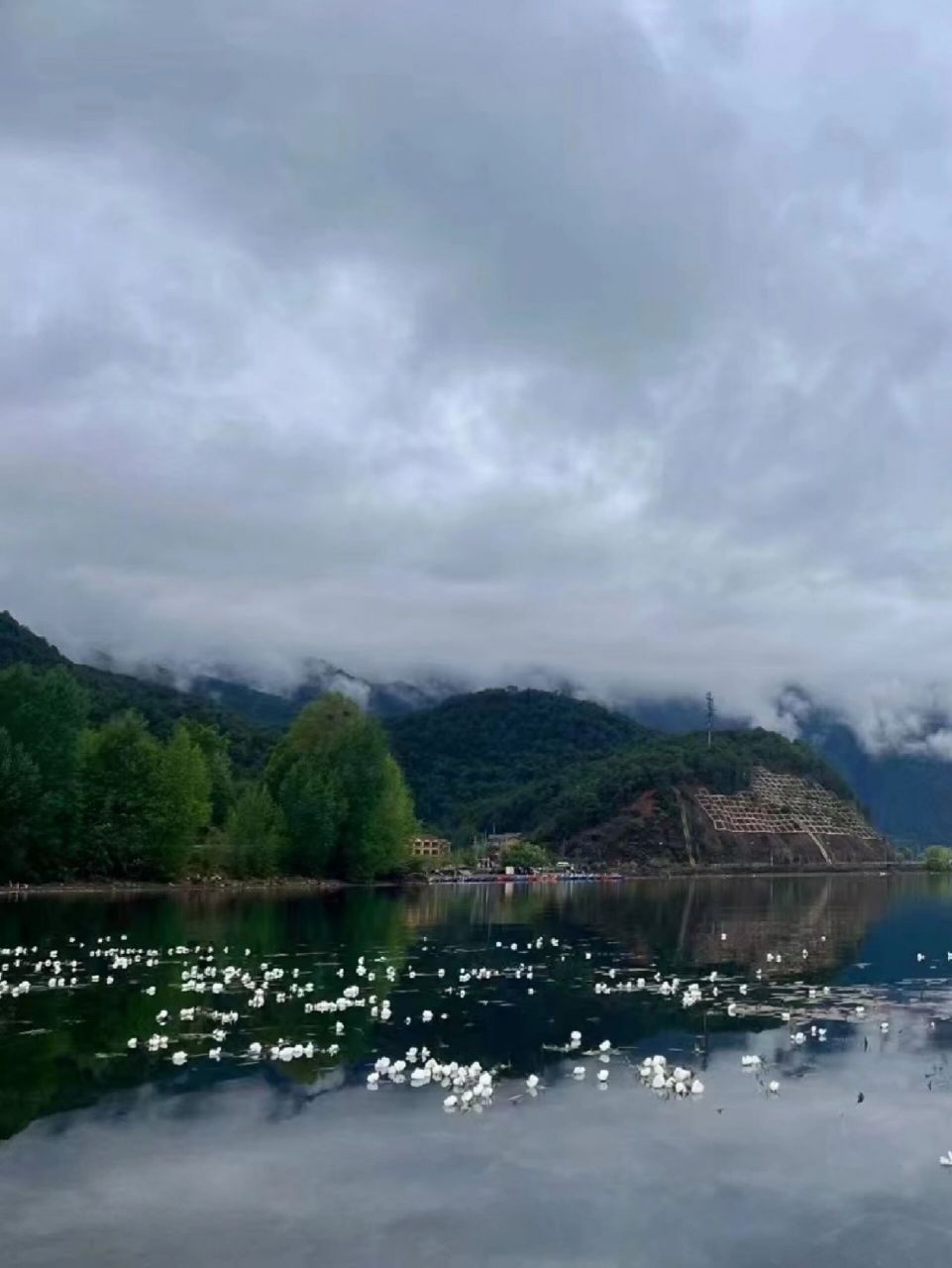 14 現在正在下雨,冷嗖嗖 97天氣:小雨9715,體感溫度13 ° 74