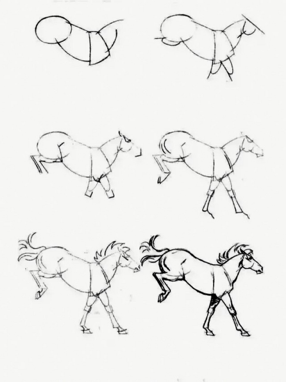 一步一步简笔画|96画马98 969696989898989898