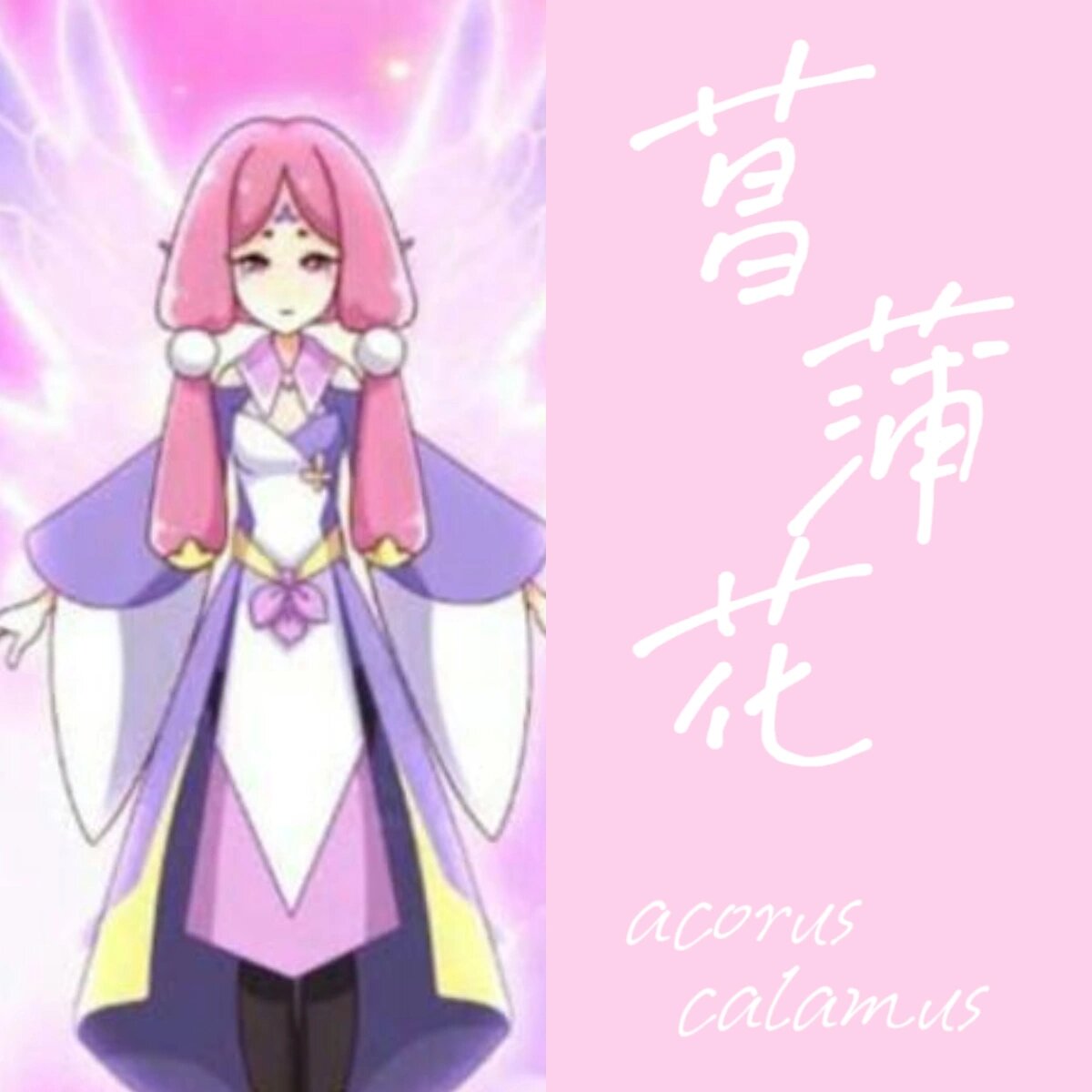 菖蒲花——锦唐 花名:菖蒲花 守护精灵王:锦唐 代表日期:3月23日 花语