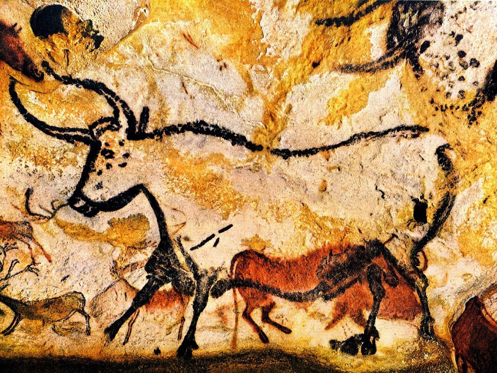 17000千年前的牛 拉斯科洞窟(法语:grotte de lascaux)壁画,位于法国