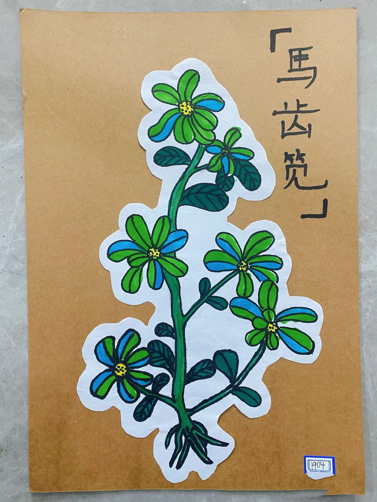 学生作品——简笔画【本草纲目】
