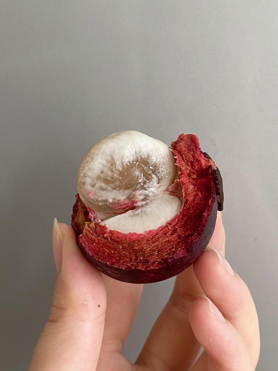 家人们 第一次吃山竹 这是怎么回事啊 难道不应该都是奶白色的吗 这