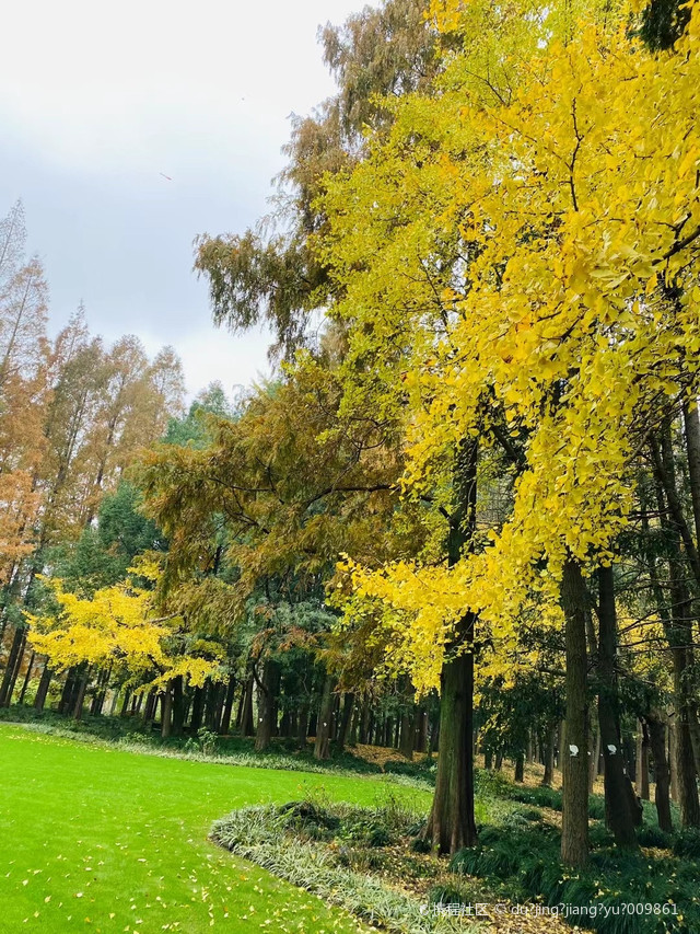 上海植物园冬季景色图片