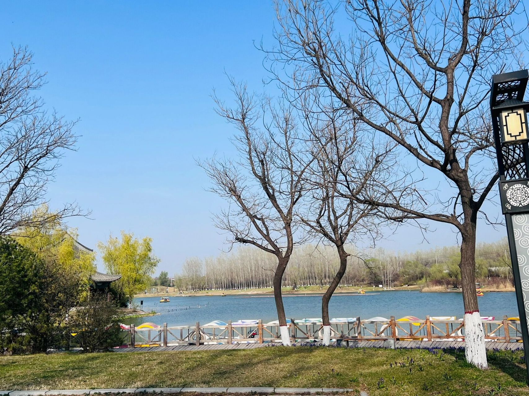 临汾周末|就来涝洰河公园放风筝09 划船09  临汾的周末 就来东城