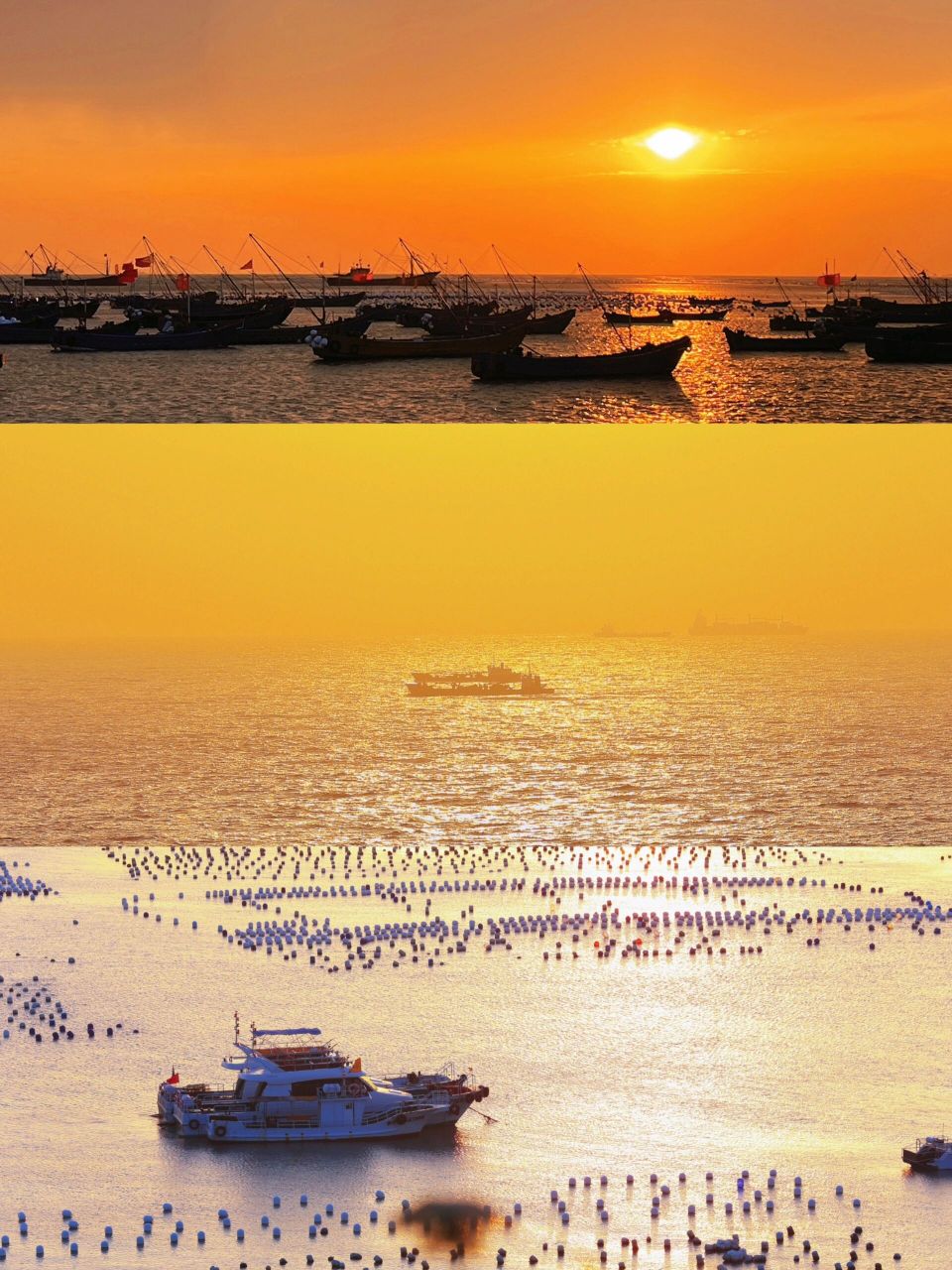 16615上海出发 如何到达枸杞岛? 提前五天购票!提前五天!五天!