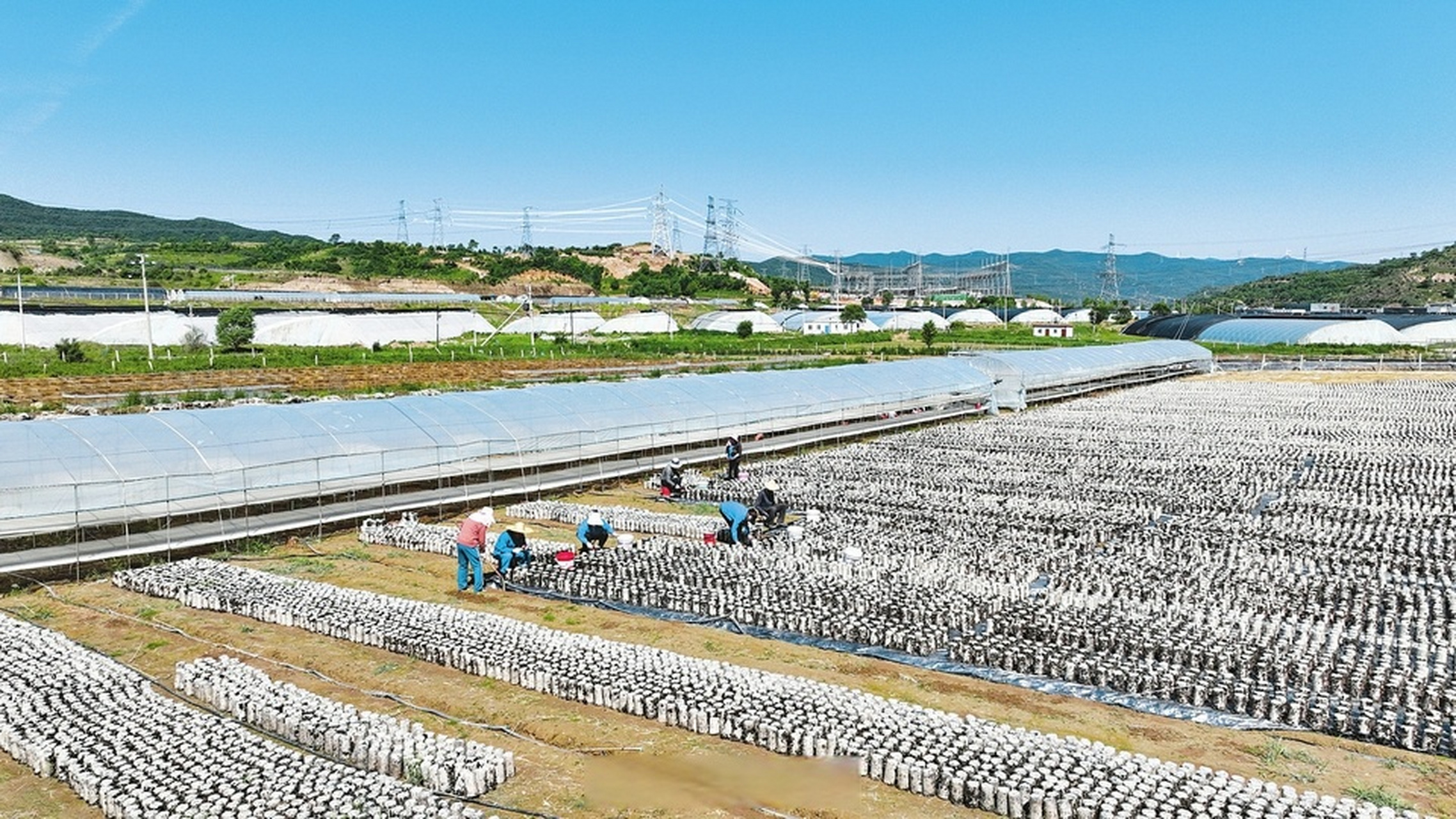 刘家坪木耳场水库公园图片