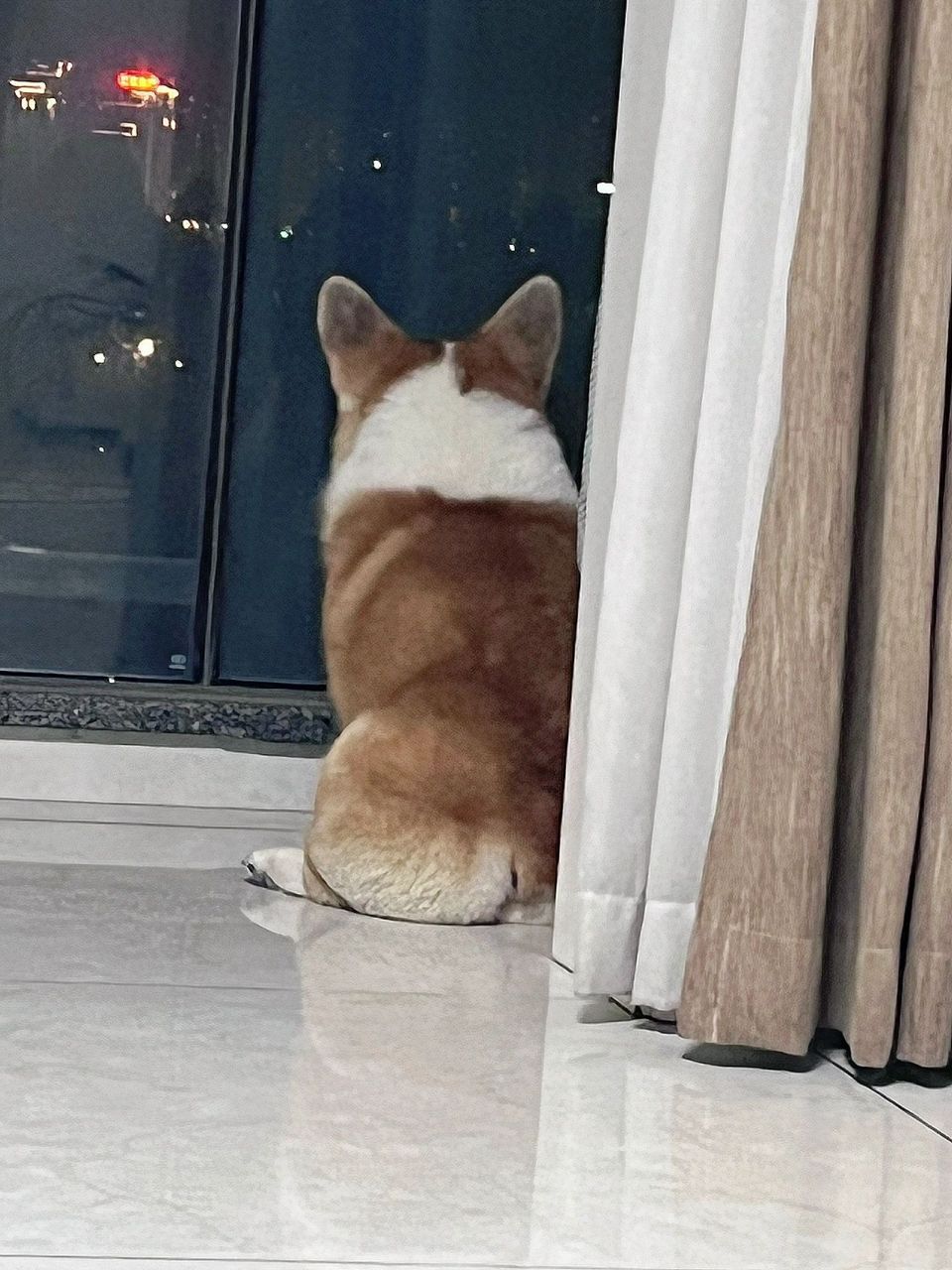 悲伤又孤独的背影