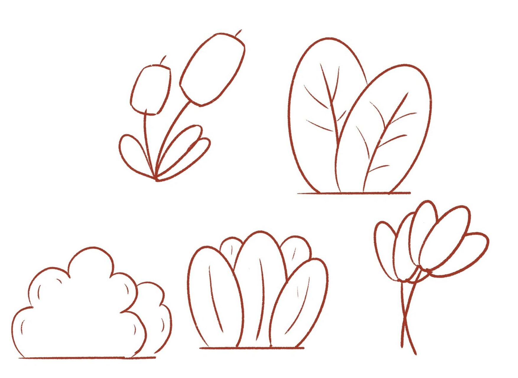 简笔画|植物简笔画 哈喽,宝子们! 许久不见啦! 今天是植物哦!