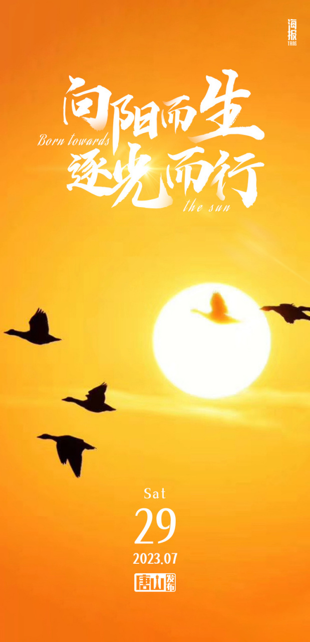 小布说晚安# 向阳而生,逆光而行.晚安[月亮]