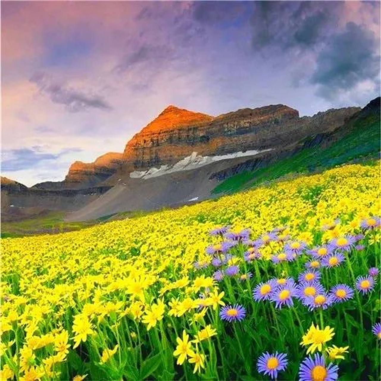 适合年龄大的头像 中老年人专属微信头像,快来看看吧 羡慕从不盲目